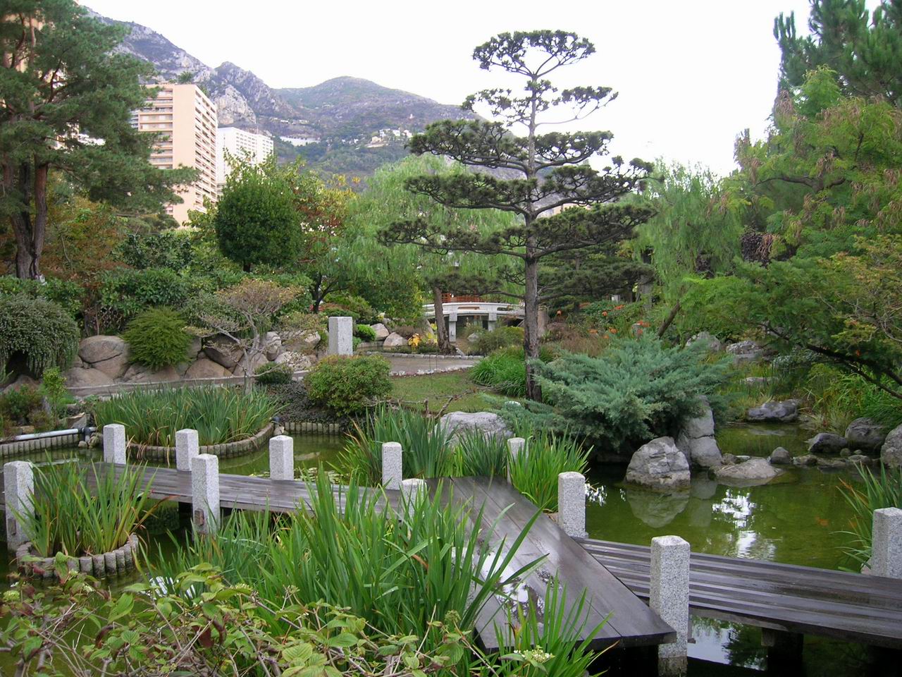 Japanese Garden